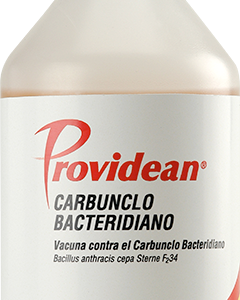 PROVIDEAN CARBUNCLO BACTERIDIANO