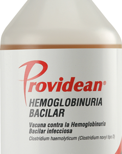PROVIDEAN HEMOGLOBINURIA BACILAR