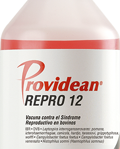 PROVIDEAN REPRO 12