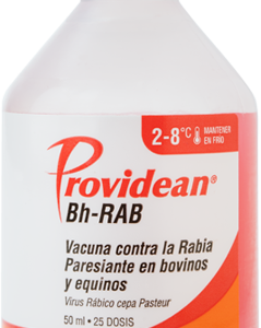 PROVIDEAN BH-RAB