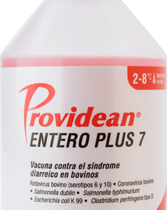 PROVIDEAN ENTERO PLUS 7