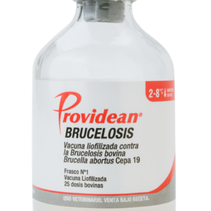 PROVIDEAN BRUCELOSIS