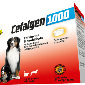 Cefalgen 1000