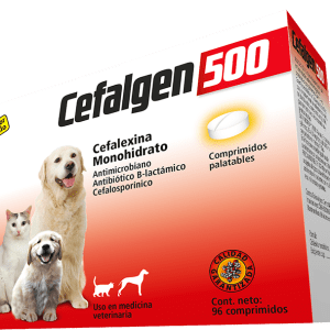 Cefalgen 500