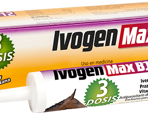 Ivogen Max B12