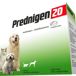 Prednigen 20
