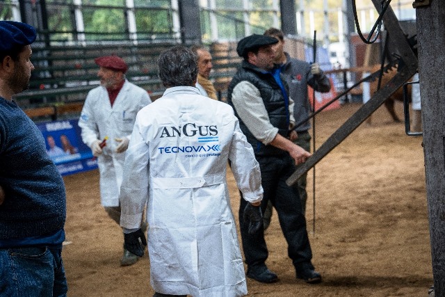 Guardia Veterinaria Tecnovax