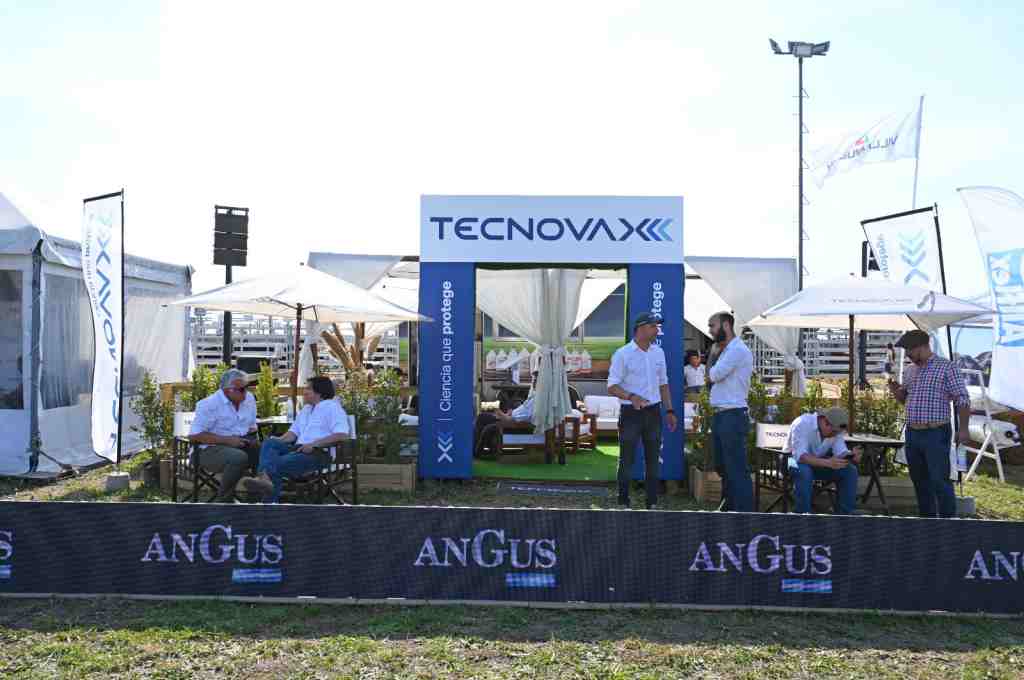 Tecnovax en Angus de Primavera