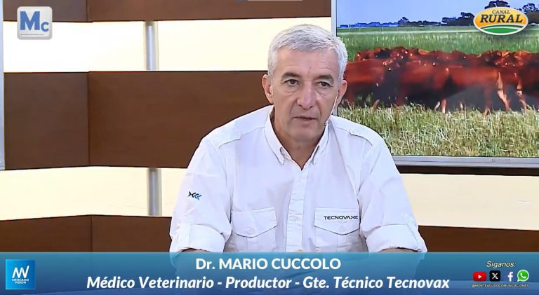 Mario Cuccolo, Jefe Técnico de la línea Ganadería de Tecnovax