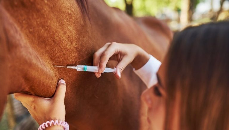 Encefalomielitis Equina